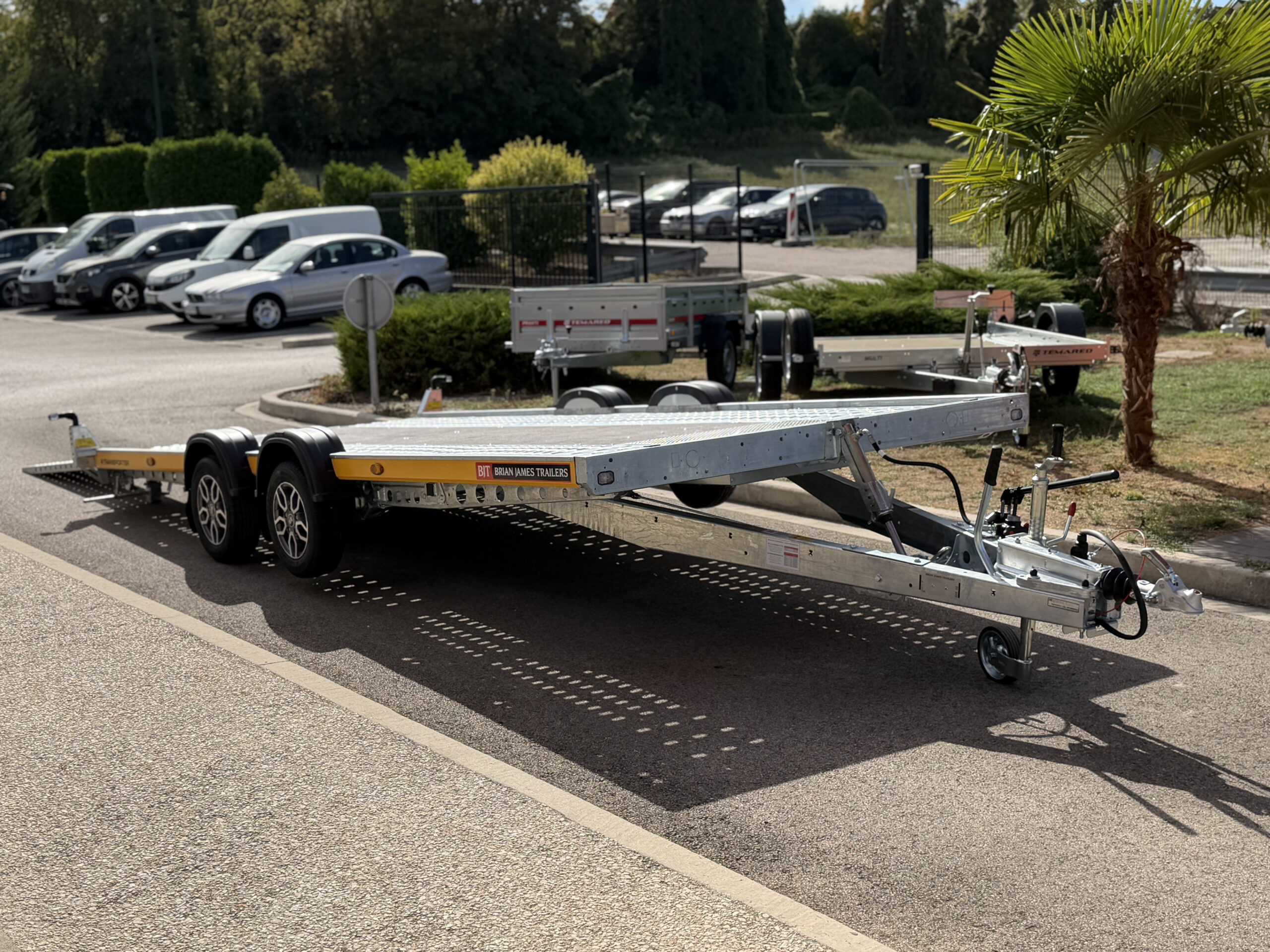 A-TRANSPORTER 5020-30-2-12 - 3000 kg