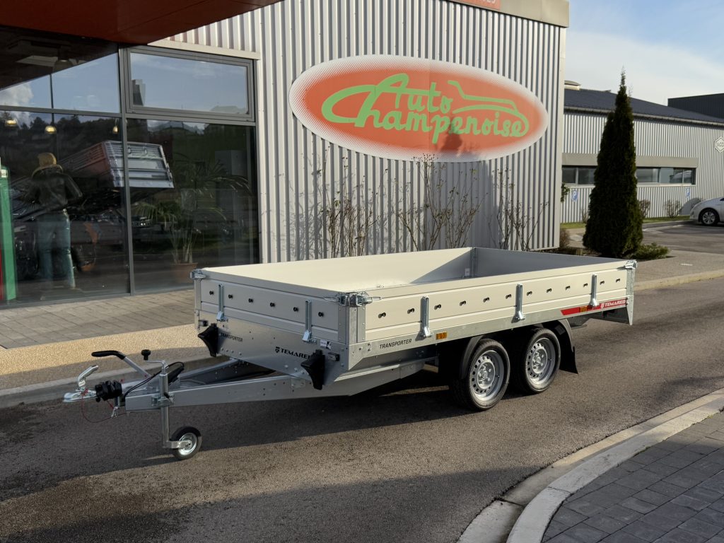 TRANSPORTER 3217/2 - 2000 kg