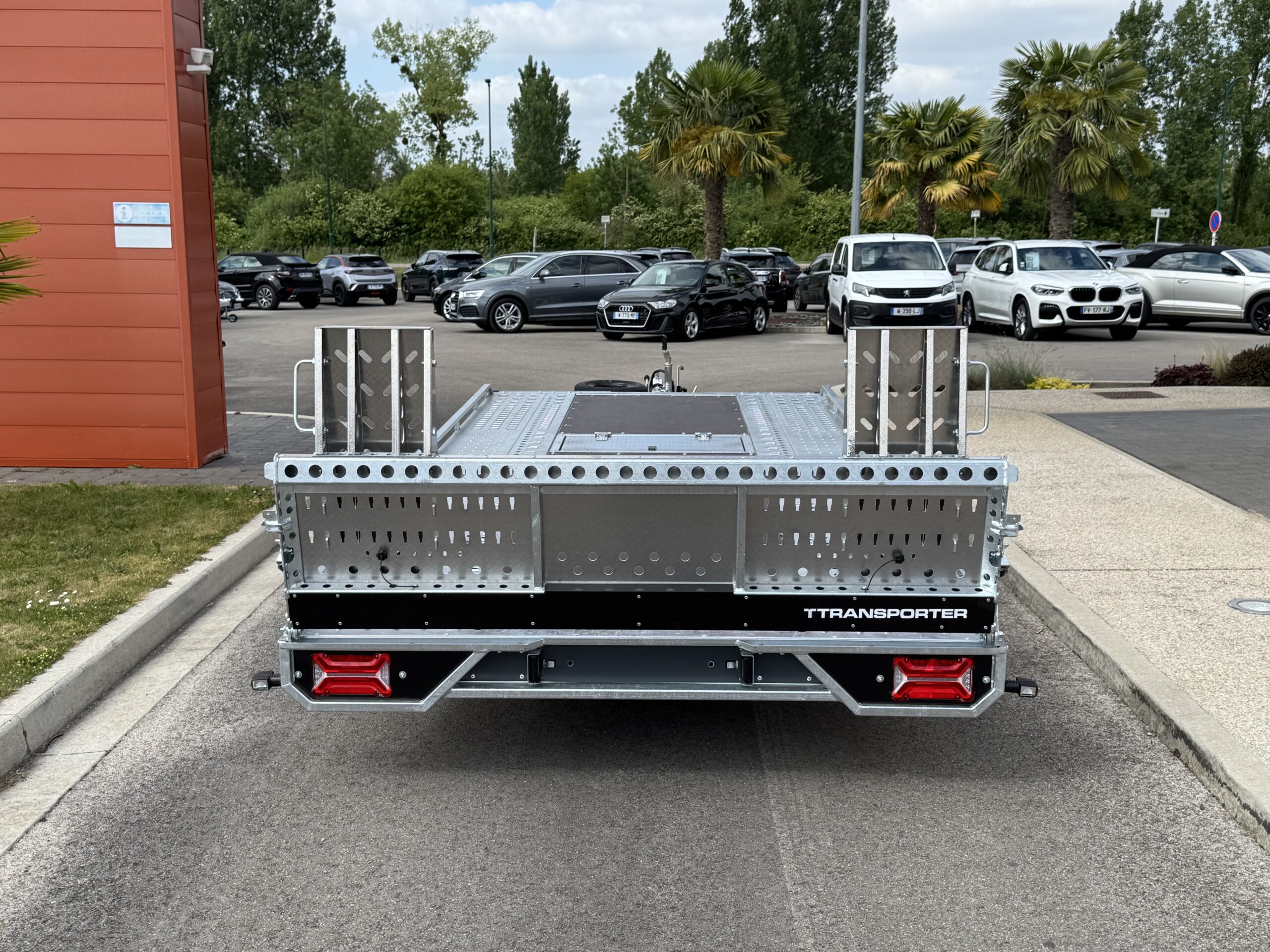 T-TRANSPORTER 4520-30-2-10 - 3000 kg